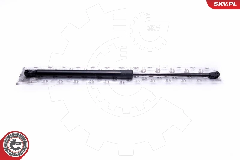 Gas Spring, boot/cargo area